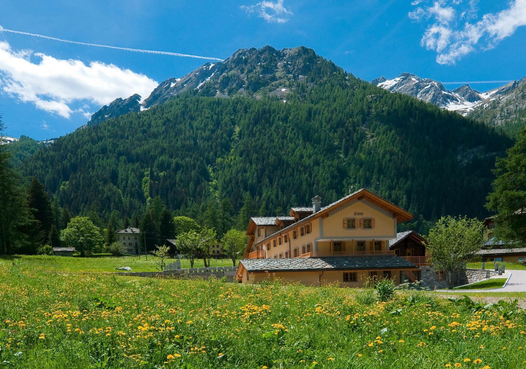 Villa Fridau Resort Gressoney-Saint-Jean Extérieur photo